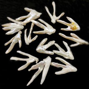 AA+ 20-40mm Natural White Chicken Feet Shaped Loose Baroque Biwa Pearl
